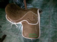 Sela Cachoeirinha Camurça Wisk 1º